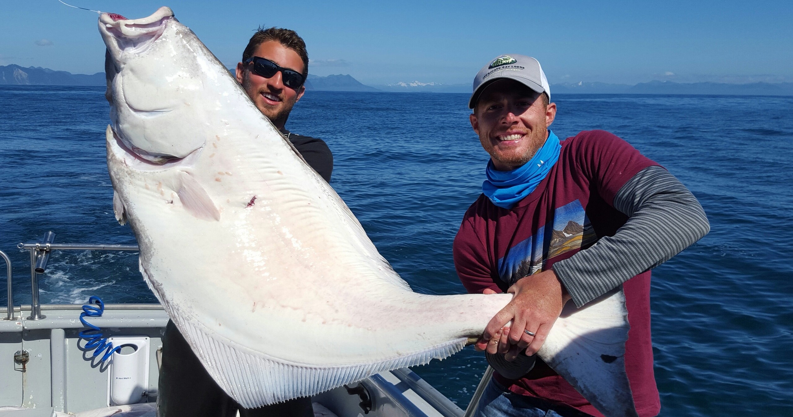 Puffin Charters (Seward Hospitality Group) Alaska charter