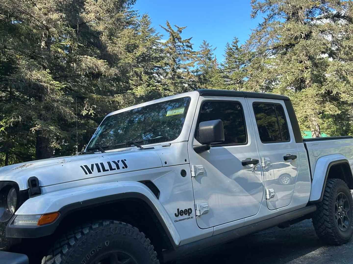 White Jeep parked on dirt road with tall trees under a clear blue sky.
