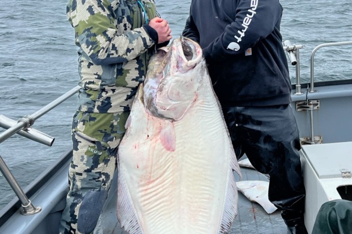 a man holding a fish on a boat in the water