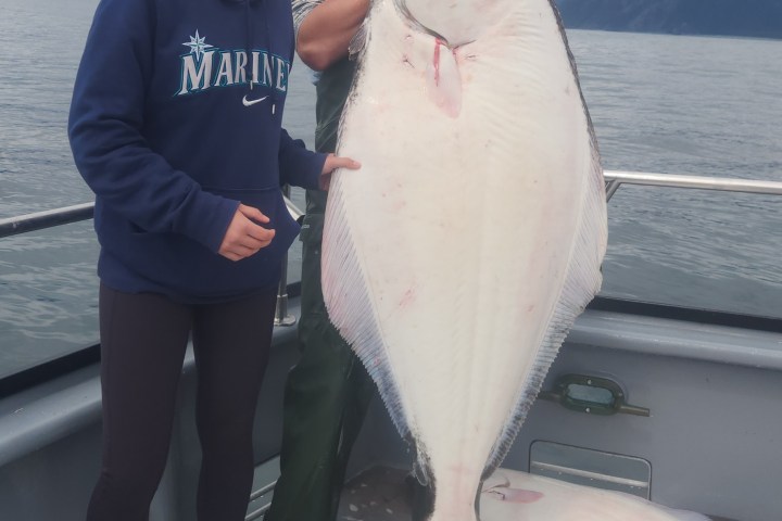 a person holding a fish