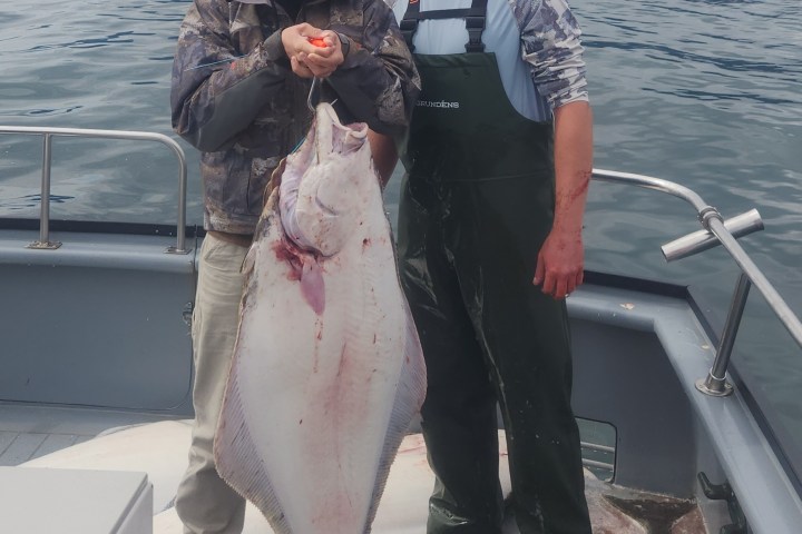 a man holding a fish in the water