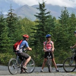 a group of people riding on the back of a bicycle