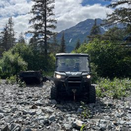 a car parked in a forest