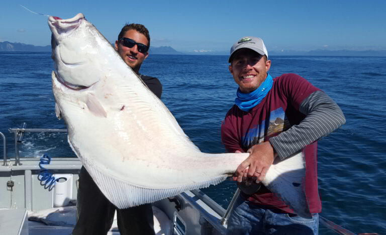 The-Alaska-Halibut-is-One-Serious-Fish-768×468 a man holding a fish in the water