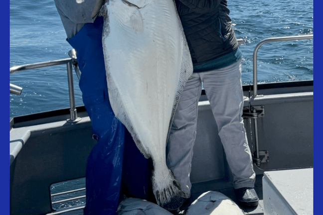 Two people on a boat holding a large fish with more fish on the deck.