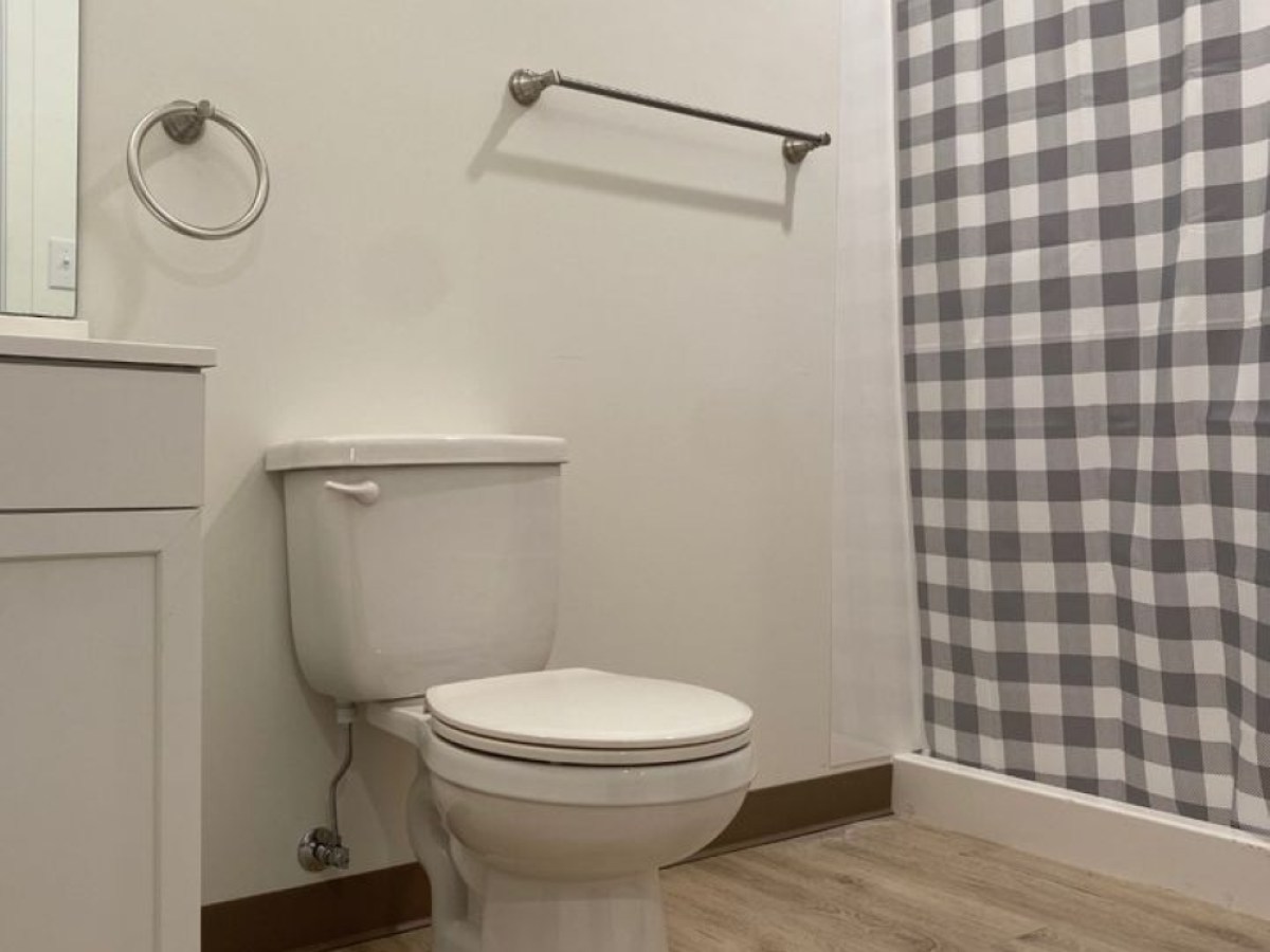 Bathroom with a toilet, sink, and checkered shower curtain on light wood flooring.