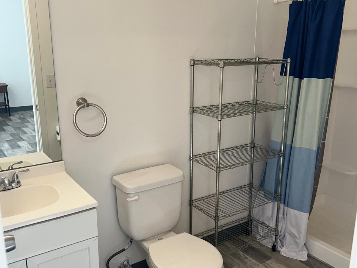 Bathroom with sink, toilet, metal shelf, and blue shower curtain.