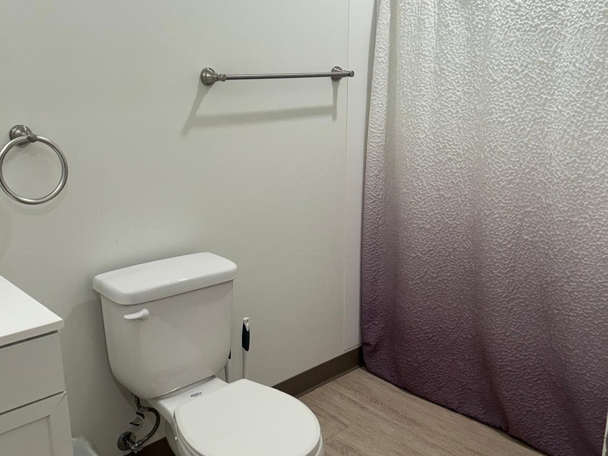 Bathroom with toilet, sink, and purple ombre shower curtain.