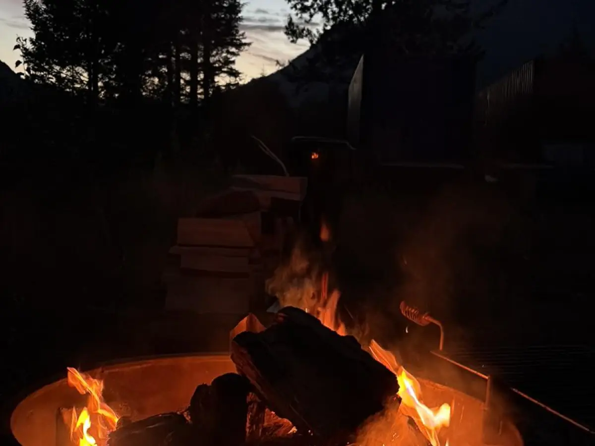 Campfire with logs ablaze, trees silhouetted against twilight sky in the background.