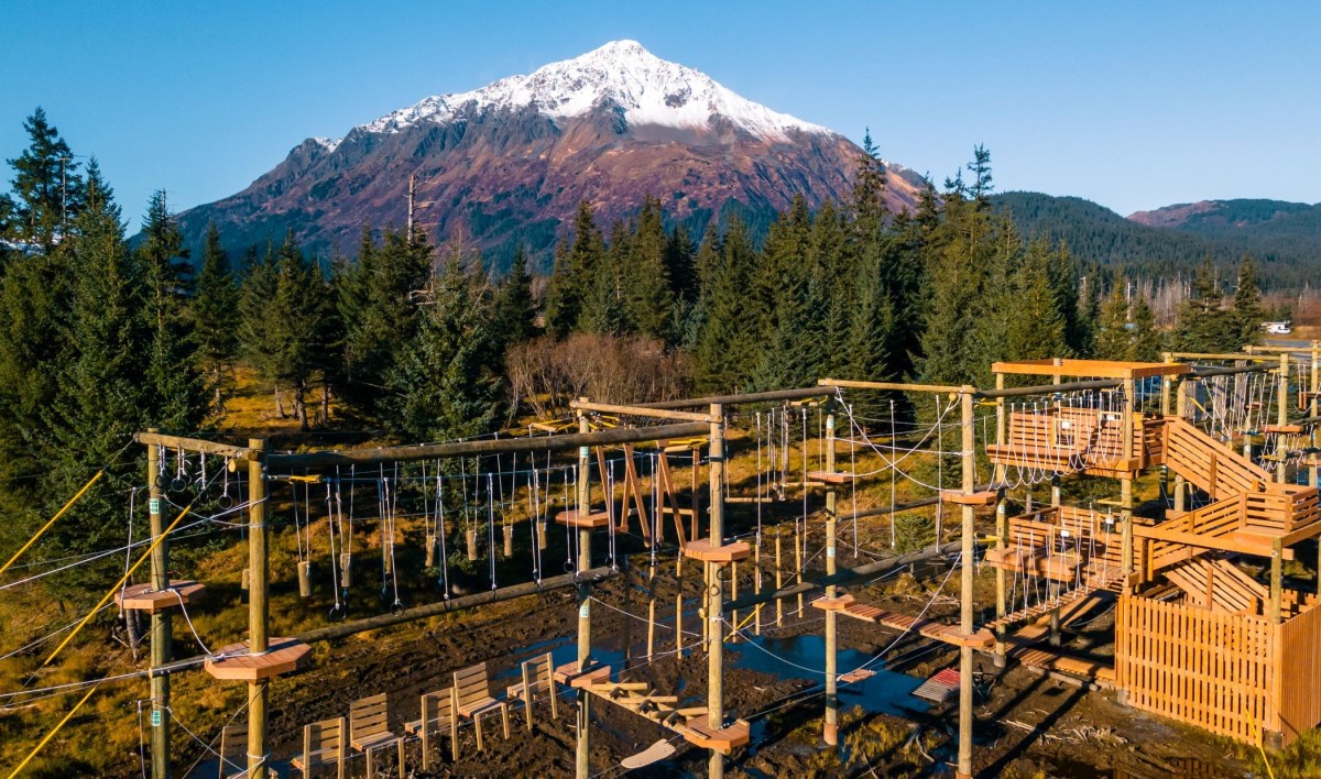 Rope obstacle course in forest with snowy mountain in background under clear blue sky.