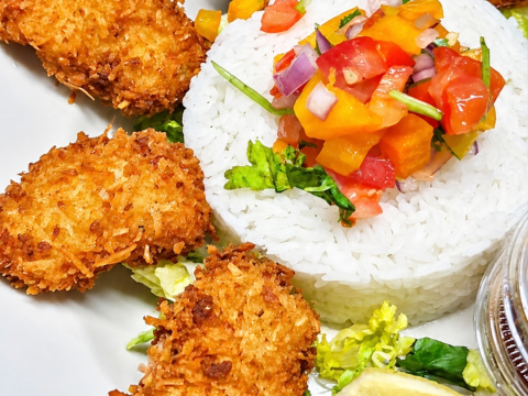 Plate with coconut shrimp, rice, salsa, and lemon slices.