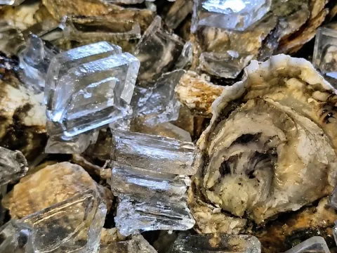 Close-up of salt crystals and oyster shells.